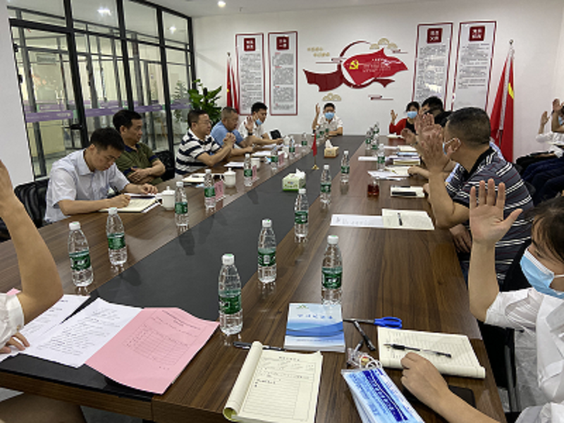 黨建強基提能專項行動 ——湖南湘藥健康產(chǎn)業(yè)有限公司黨支部圓滿完成換屆選舉